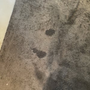 שטיח כהה עם כתמי רטיבות