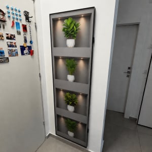 קיר עם מדפים ותאורה עם עציצים דקורטיביים