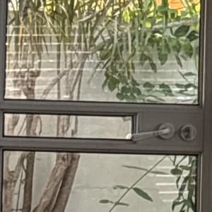 דלת זכוכית עם מנעול וידית, צמח ברקע