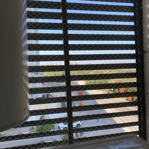 רשת מתכת על חלון למניעת כניסת יונים