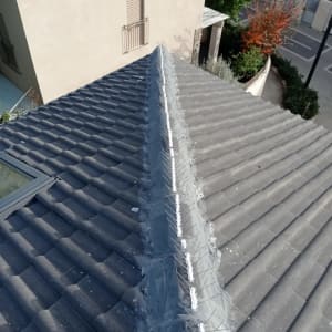 גג רעפים עם דוקרנים למניעת ציפורים