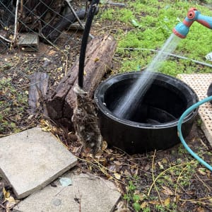 צינור מים משקה אזור חיצוני עם צמחייה