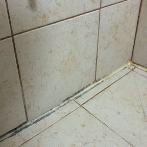 אריחי קרמיקה עם עובש בפינת מקלחת