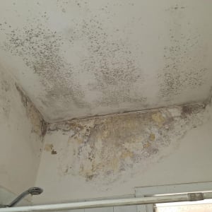 תקרה עם עובש ורטיבות, מקלחת עם ראש מקלחת