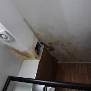 תקרה עם סימני רטיבות ונזקי מים