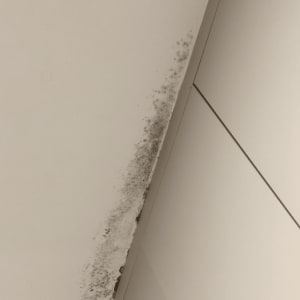 עובש על תקרה, בעיה באיטום