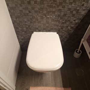 אסלה לבנה עם אריחים כהים ומברשת שירותים