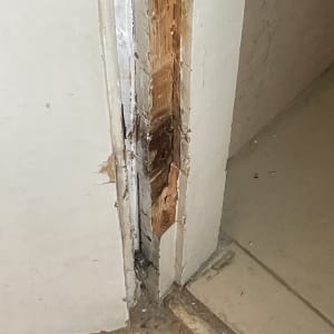 דלת פגומה עם עץ חשוף ונזק