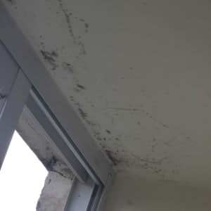 כתמי עובש על תקרה ליד חלון