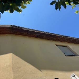 גג בית עם עלים ברקע ושמיים כחולים