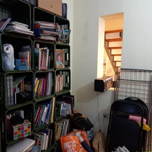 מדפים ירוקים עם ספרים ותיקיות, שקיות על הרצפה