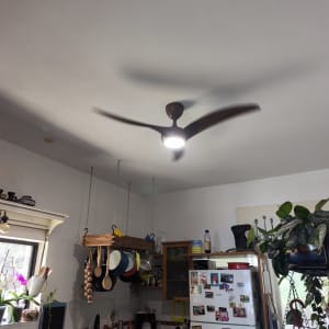מאוורר תקרה פועל במטבח עם מקרר וצמחים