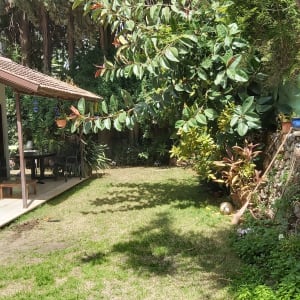 עציצים תלויים, צמחים ירוקים, גינה מטופחת עם דשא