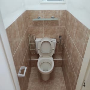 אסלה עם מתקן לנייר טואלט ומברשת ניקוי