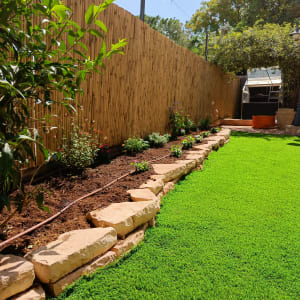 ערוגת פרחים עם אבנים ודשא ירוק בגינה