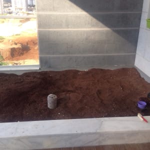 אדמה בגינה עם כלי השקיה ועציצים ירוקים