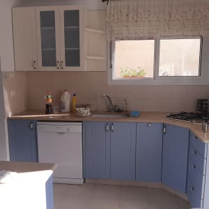 מטבח עם ארונות עץ כחולים וכיור