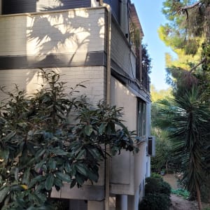 גג שטוח עם צמחייה מסביב