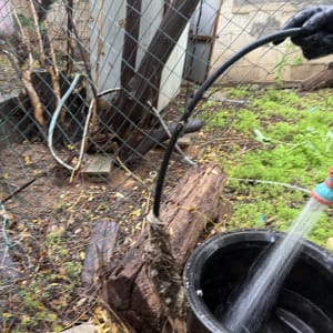 צינור מים מושקה בגינה עם דלי שחור