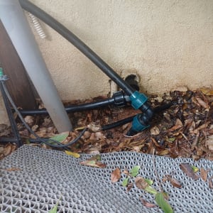 צינורות פלסטיק מחוברים לקיר עם עלים מסביב