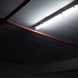 צינור עם דוקרנים למניעת יונים בתקרה