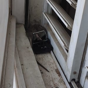 מלכודת עכברים עם עכבר לכוד ליד חלון