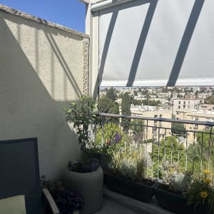 מרפסת עם פרגולה אלומיניום וצמחים