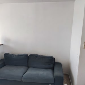 ספה כחולה מול קיר לבן בחדר מגורים