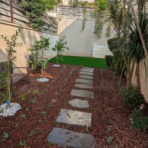 שביל אבנים בגינה עם צמחים ועצים קטנים