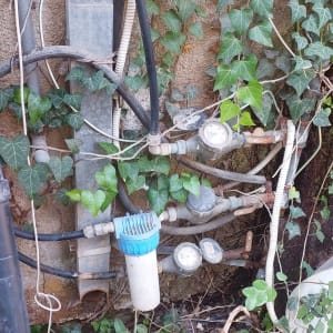 צינורות מים ומד מים על קיר עם צמחייה