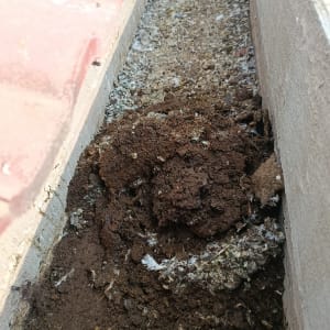 תמונה של גג עם לכלוך ופסולת