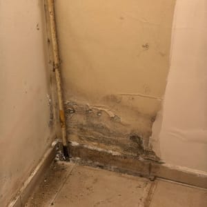 קיר עם סימני רטיבות וכלי צביעה ישן