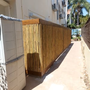 גדר במבוק לצד שביל מרוצף עם צמחייה