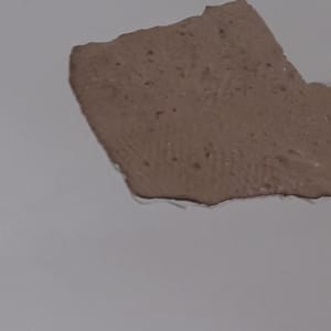 חתיכת קרטון חום על רקע לבן