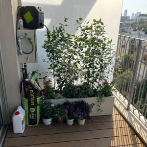 צמחים וציוד גינון במרפסת