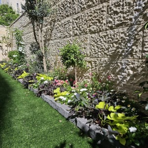 ערוגת פרחים צבעונית לצד קיר אבן בגינה