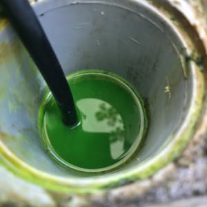צינור עם נוזל ירוק בתוך צינור גדול יותר