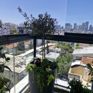 עציץ עם צמחים במרפסת עם נוף עירוני