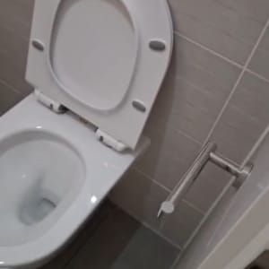 אסלה נקייה בחדר שירותים עם מתקן לנייר טואלט