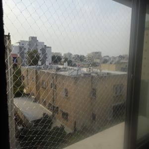 רשת יונים מותקנת על חלון עם נוף לבניינים