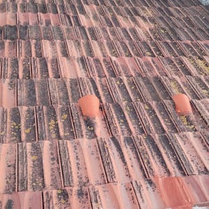 רעפים אדומים עם כתמים כהים על גג