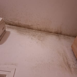 קיר עם סימני עובש ולכלוך