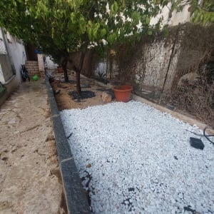 עץ עם אבנים לבנות ועציץ בגינה