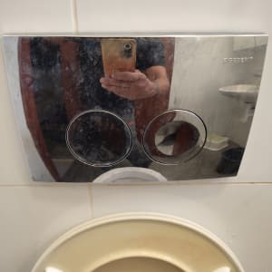 לחצן הדחה כפול על קיר חדר אמבטיה