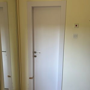 דלת לבנה עם ידית כסופה ומראה בצד