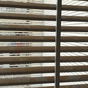 רשת מתכת על חלון למניעת כניסת יונים