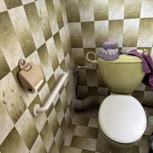 אסלה ירוקה עם כובע סרוג, ידית אחיזה, צינור מים