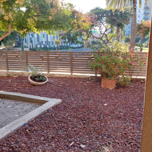 עציץ עם צמחייה, אדמה חצץ, גדר עץ