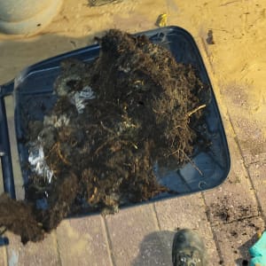 ערימת לכלוך על מגש פלסטיק, מגף עבודה