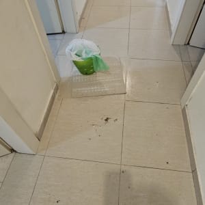 מסדרון עם דלי ירוק על הרצפה, סימני שיפוץ